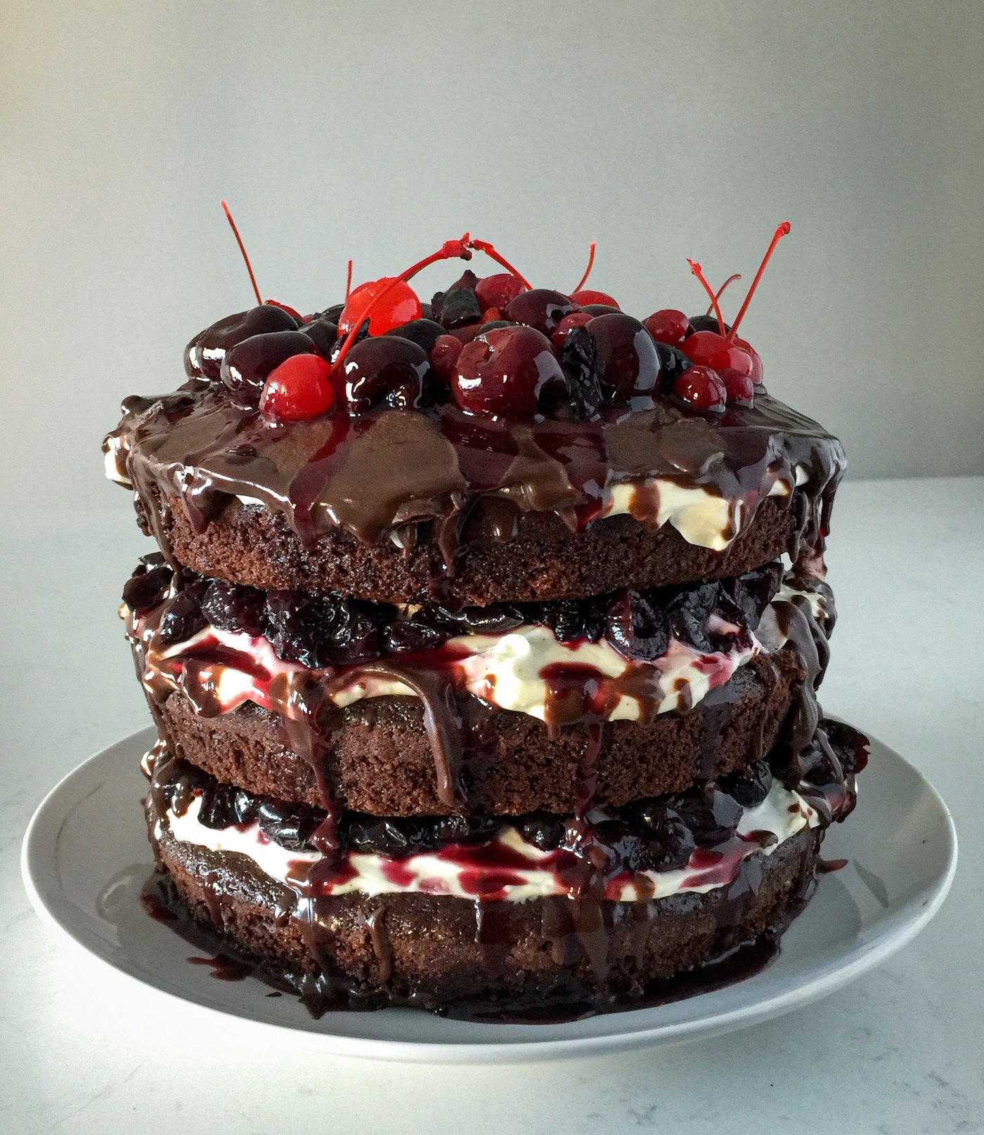 Black Forest gateau layered with cherries, whipped cream and dark chocolate shavings